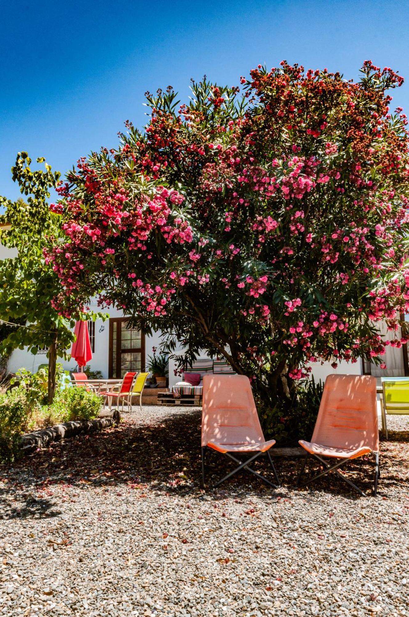 Aparthotel Nido Aguila Blanca Guaro Esterno foto